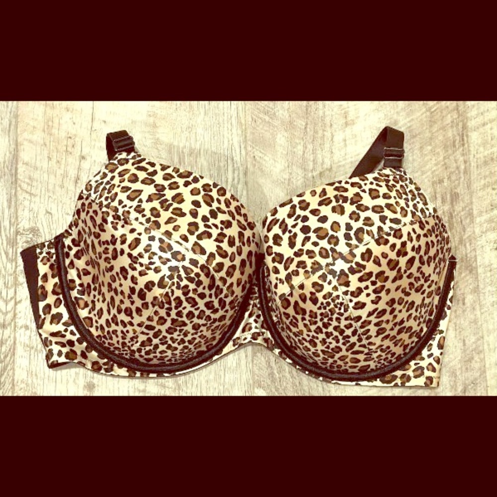 Cacique Push-Up Plunge Bra [44D]
